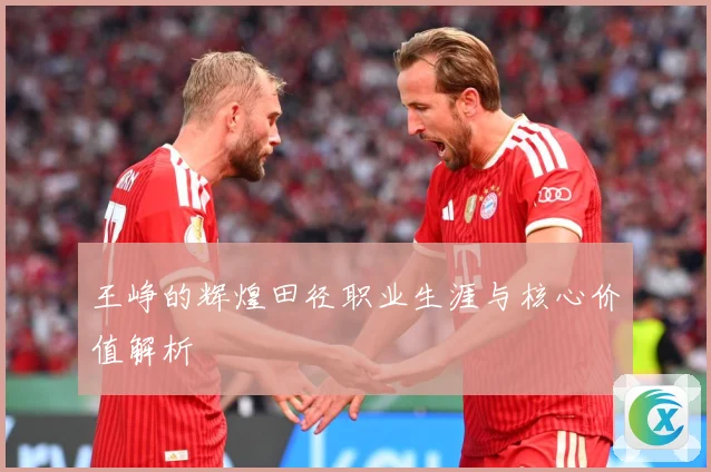 王峥的辉煌田径职业生涯与核心价值解析