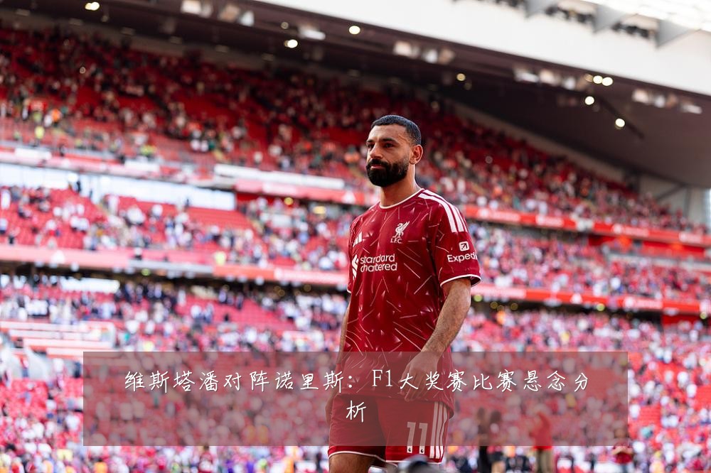 维斯塔潘对阵诺里斯：F1大奖赛比赛悬念分析