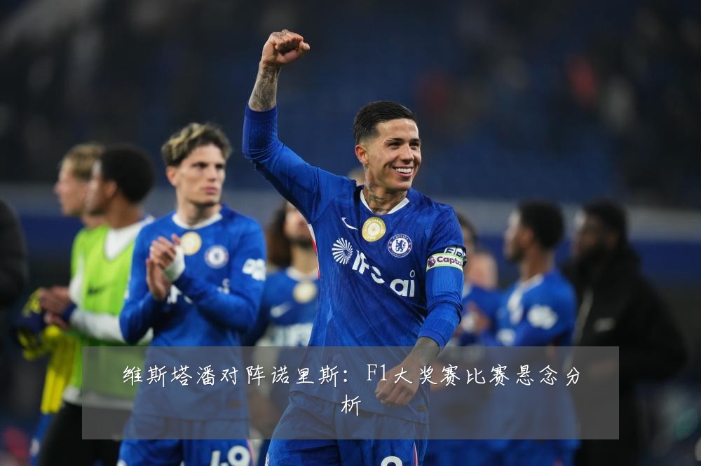 维斯塔潘对阵诺里斯：F1大奖赛比赛悬念分析