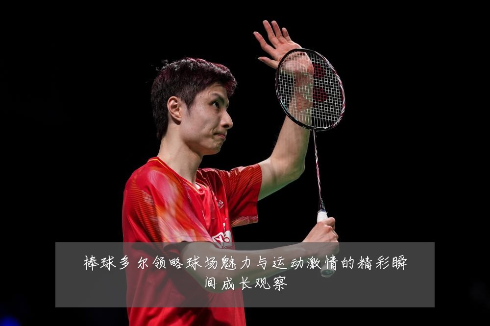 棒球多尔领略球场魅力与运动激情的精彩瞬间成长观察